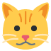 Un Chaton